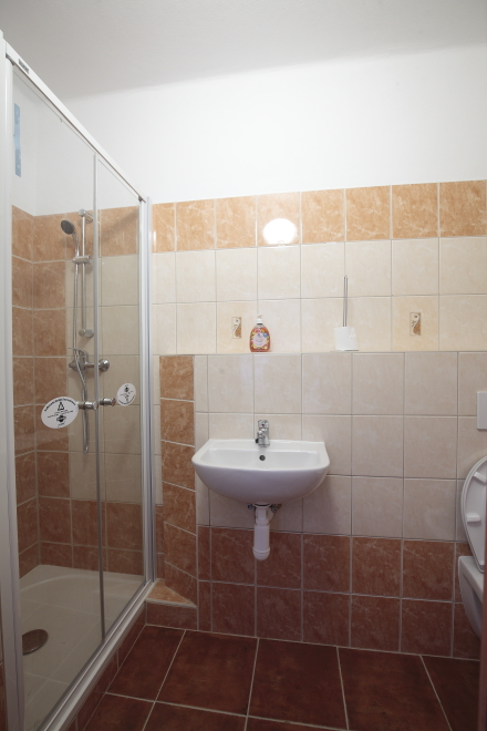zp�t